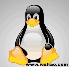 解决burst VPS Kloxo面板WordPress更新插件需要FTP密码(linux)