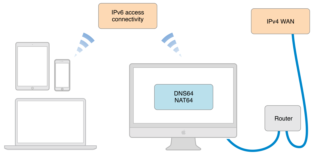 local_ipv6_dns64_nat64_network_2x